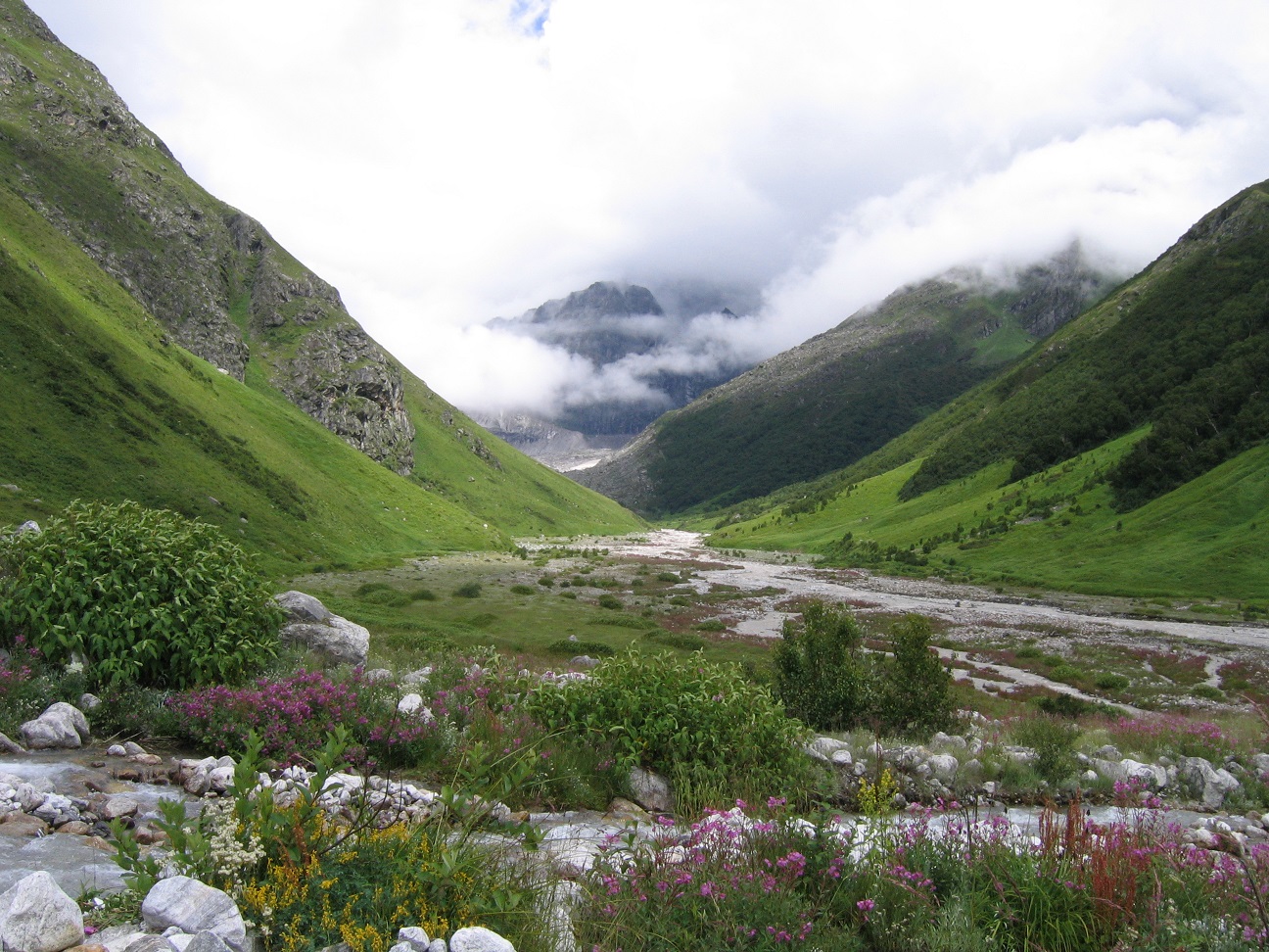 Valley of Flowers